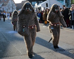 Tiermaskenumzug 2015 29