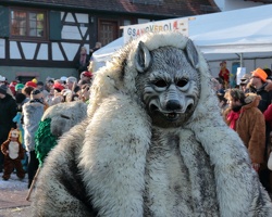 Tiermaskenumzug 2015 54