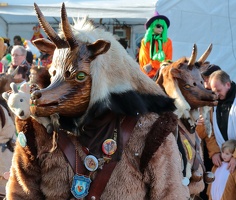 Tiermaskenumzug 2015 56