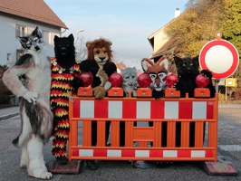 Tiermaskenumzug 2015 65