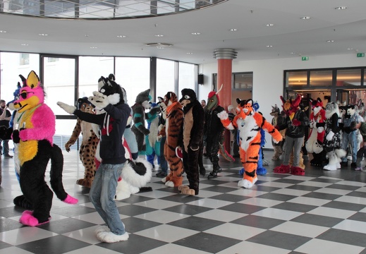 EF 20 10