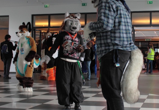 EF 20 19