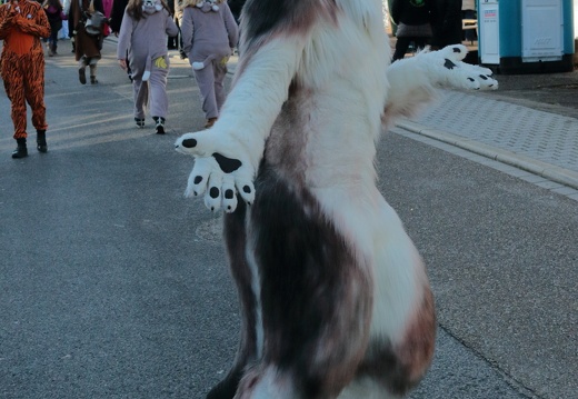Tiermaskenumzug 2015 06