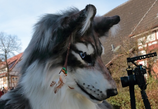 Tiermaskenumzug 2015 07