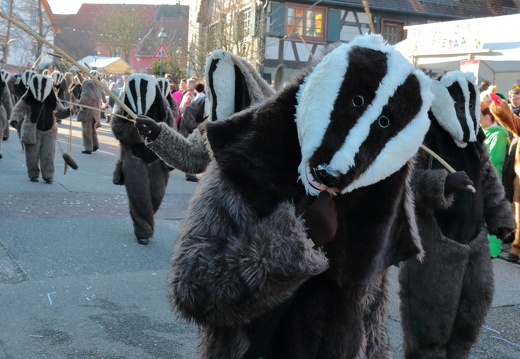 Tiermaskenumzug 2015 19